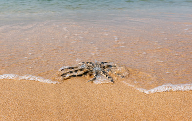 Similar image 21887445