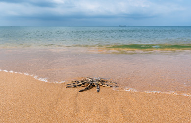 Similar image 21887446