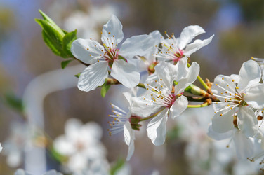 Similar image 21885193