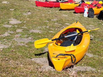 Similar image 21894452