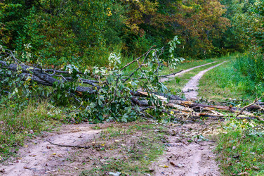 Similar image 21885195