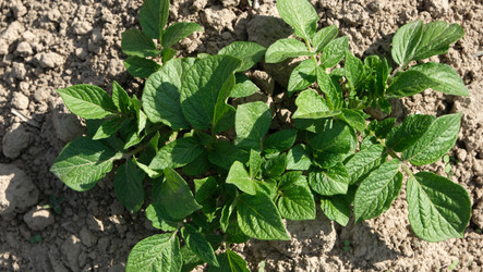 Similar image 21878544