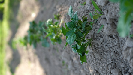 Similar image 21878545