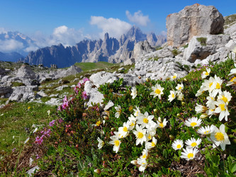 Similar image 21882386