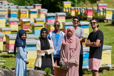 Similar image 21881588