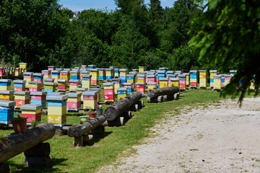 Similar image 21881593