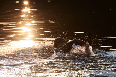 Similar image 21881136