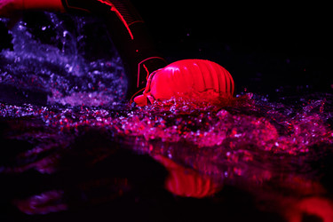 Similar image 21881638