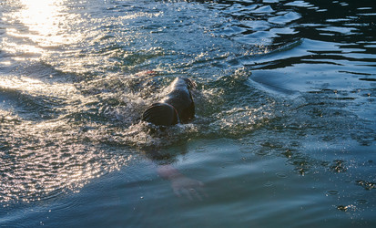 Similar image 21880990