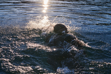 Similar image 21880991