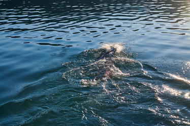 Similar image 21881335