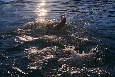 Similar image 21881657