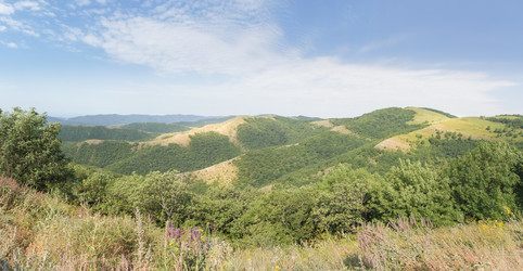 Similar image 21892603