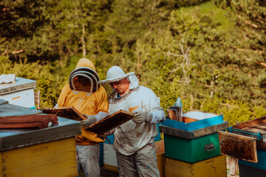 Similar image 21880768