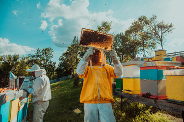 Similar image 21881000