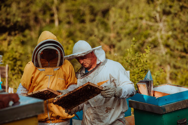 Similar image 21881169