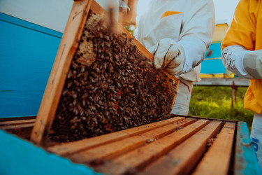 Similar image 21881174