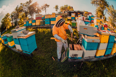 Similar image 21881733