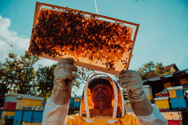 Similar image 21881741