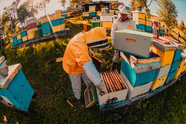 Similar image 21881742