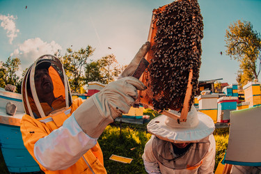 Similar image 21881744