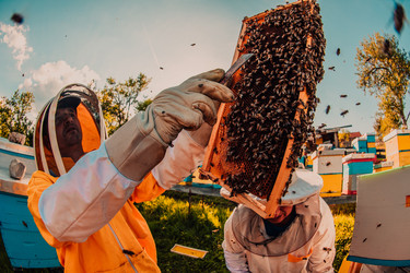 Similar image 21881746