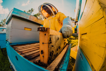 Similar image 21881747