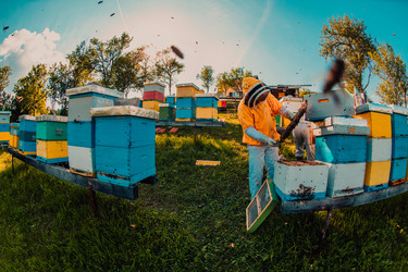 Similar image 21889194