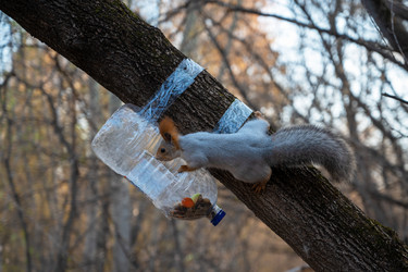 Similar image 21888487