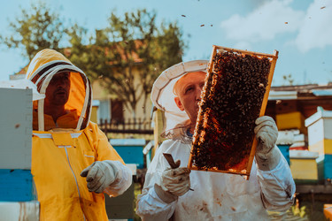 Similar image 21881023