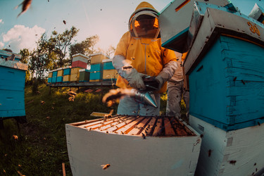 Similar image 21881788