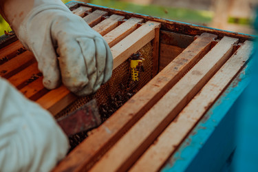 Similar image 21885160