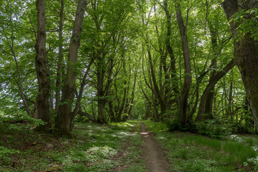 Similar image 21885199