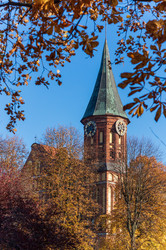 Similar image 21885200