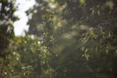 Similar image 21894461