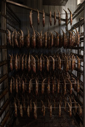 Similar image 21887700