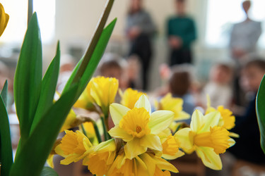 Similar image 21888729