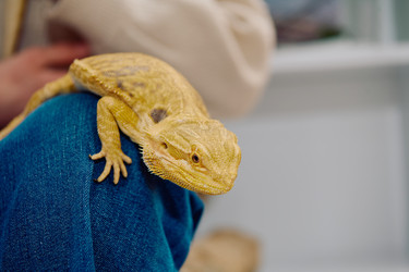 Similar image 21881212