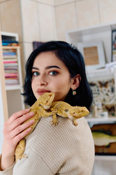 Similar image 21881317