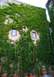 Similar image 21878584