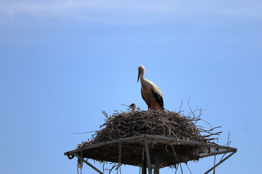 Similar image 21878585