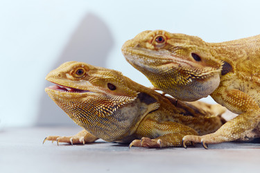 Similar image 21880818