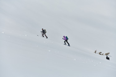 Similar image 21881865