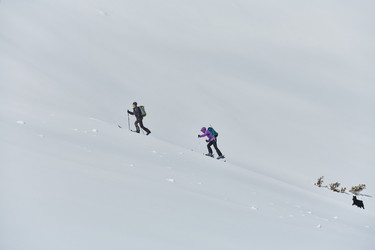 Similar image 21881873