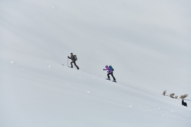 Similar image 21881881