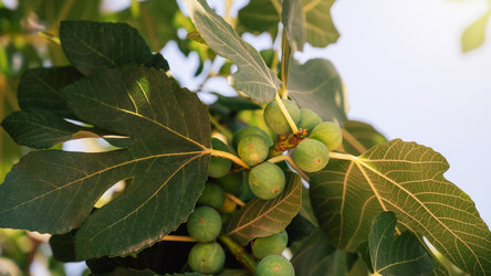 Similar image 21887303