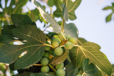 Similar image 21887304