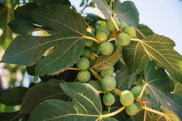 Similar image 21887305