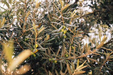 Similar image 21887307