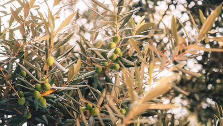 Similar image 21887308